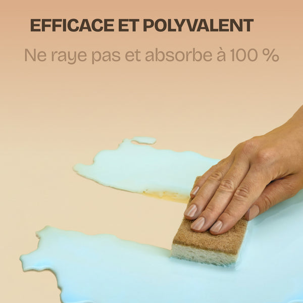 Pack d'éponges écologiques
